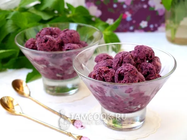 Фото готового блюда: Мороженое из шелковицы