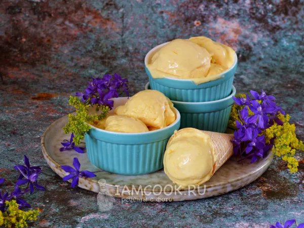 Фото блюда: Манговое мороженое