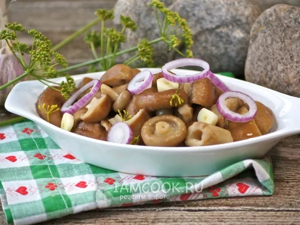 Фото блюда: Засолка волнушек на зиму