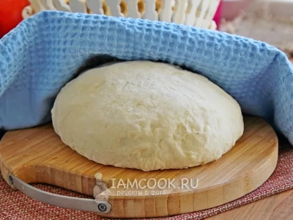 Фото блюда: Тесто для пирогов на майонезе