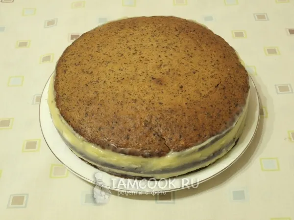 Шаг 16: иллюстрация