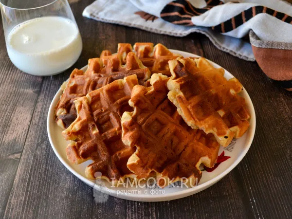 Фото готового блюда: Вафли из нутовой муки в вафельнице
