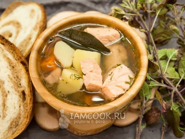 Фото готового блюда: Уха из семги