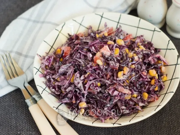 Фото блюда: Салат из краснокочанной капусты с майонезом
