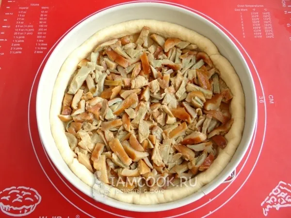 Шаг 14: иллюстрация