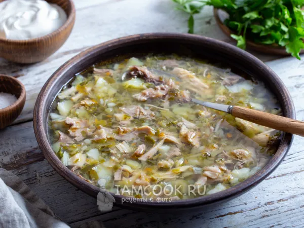 Фото блюда: Щи из крошева с курицей (классический рецепт)