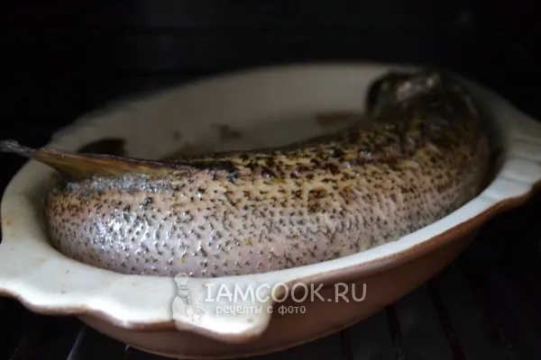 Шаг 13: иллюстрация