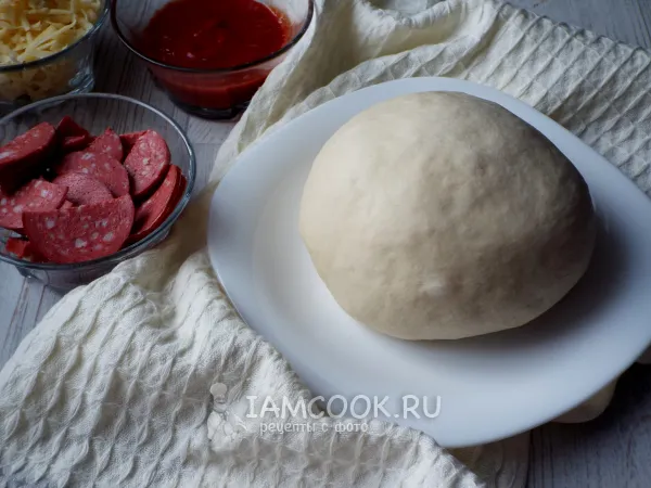 Фото блюда: Тесто для пиццы на молоке в хлебопечке