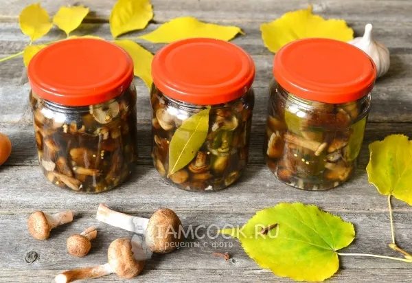 Шаг 9: иллюстрация