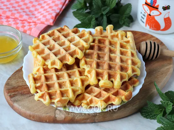 Фото готового блюда: Морковные вафли в вафельнице