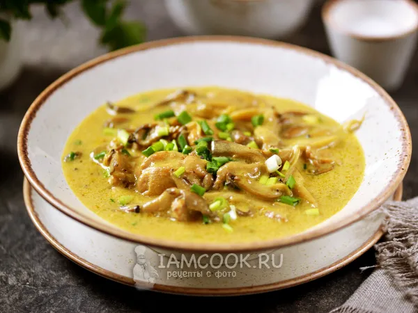 Фото блюда: Карри с курицей и грибами