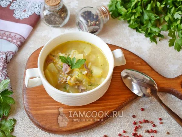 Фото готового блюда: Суп из утки с рисом