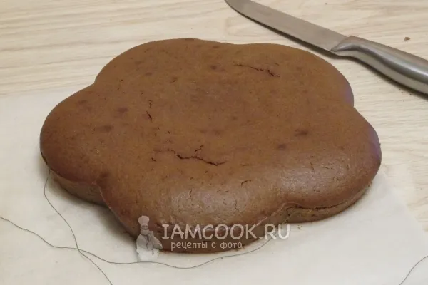 Шаг 12: иллюстрация