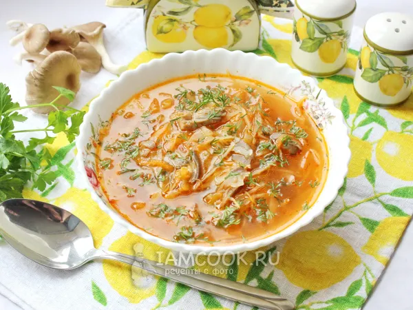 Фото блюда: Щи с вешенками