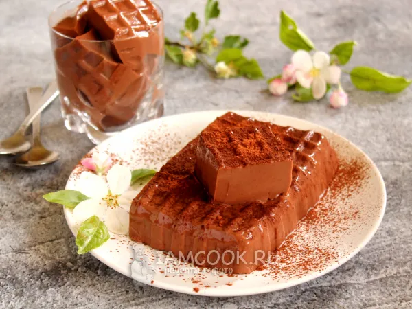 Фото готового блюда: Шоколадная панакота с какао (из ряженки)