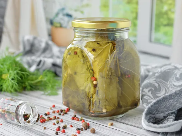 Фото блюда: Консервированные виноградные листья для долмы