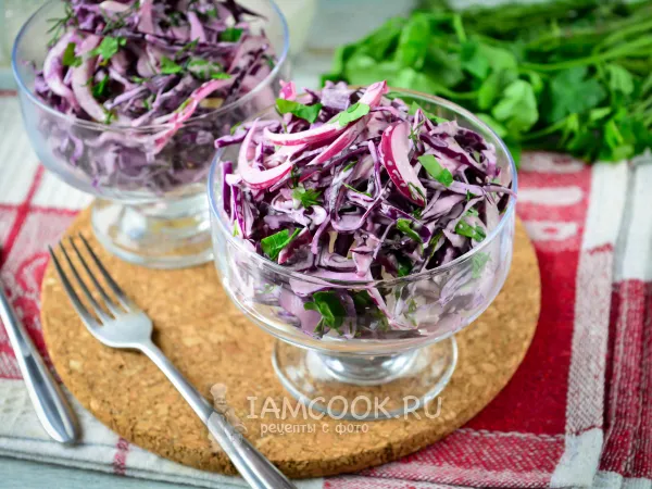 Фото готового блюда: Салат из краснокочанной капусты с луком