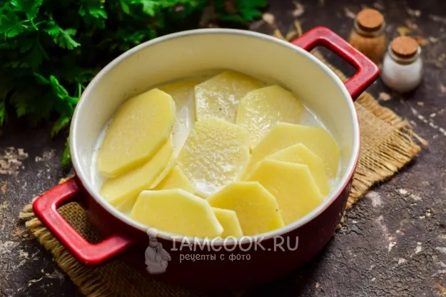 Шаг 4: иллюстрация