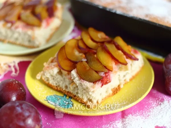 Фото готового блюда: Шарлотка с яблоками и сливами