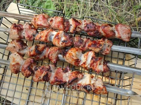 Фото готового блюда: Шашлык из свиной шейки с луком