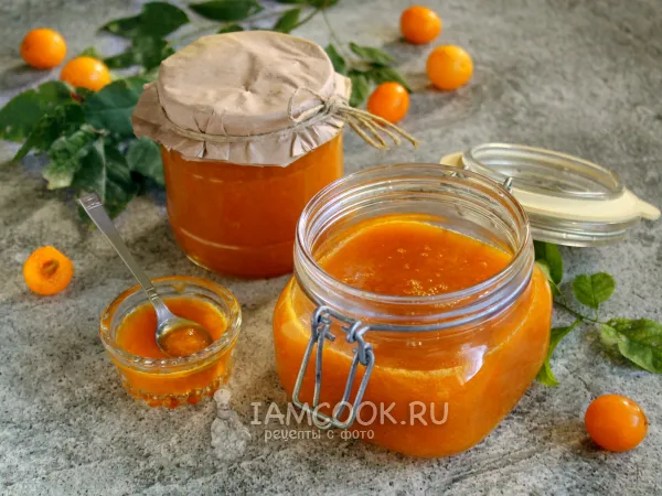 Фото блюда: Повидло из алычи (желтой) на зиму