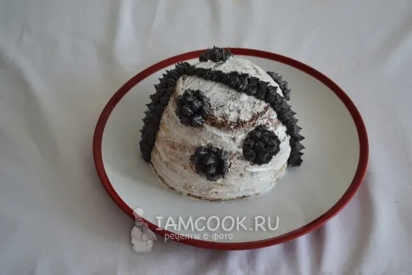 Шаг 11: иллюстрация