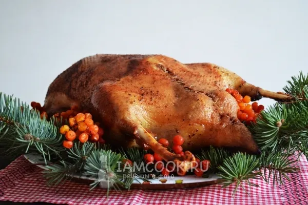 Шаг 12: иллюстрация