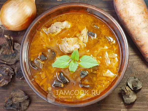 Фото блюда: Щи из квашеной капусты с сушеными грибами