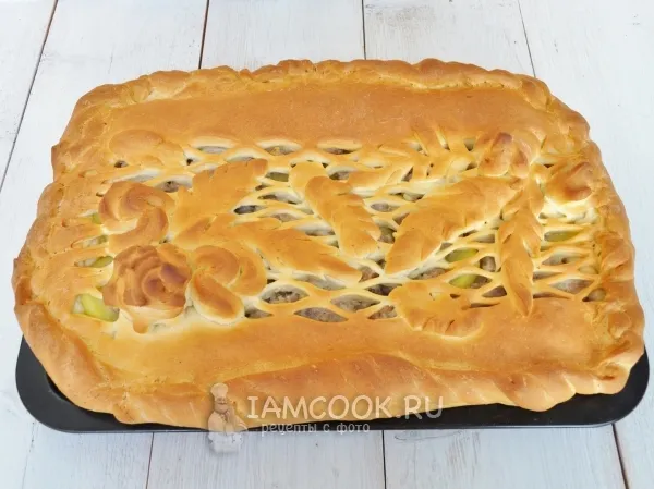 Шаг 15: иллюстрация