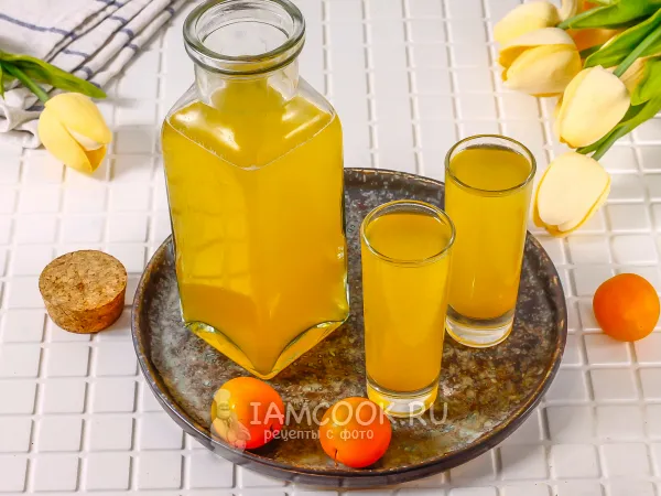 Фото блюда: Наливка из алычи