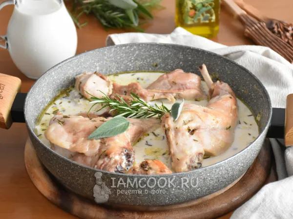 Фото готового блюда: Кролик тушеный в молоке