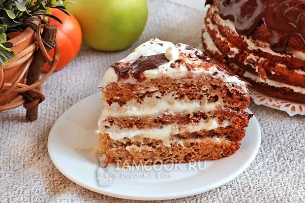 Шаг 15: иллюстрация