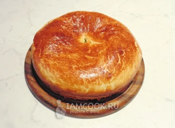 Шаг 15: иллюстрация