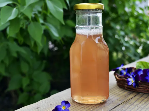 Фото блюда: Сироп из ревеня