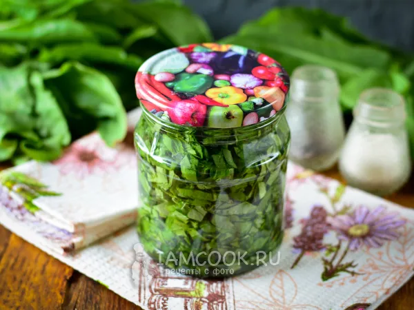 Фото блюда: Засолка щавеля на зиму холодным способом