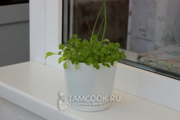 Шаг 12: иллюстрация