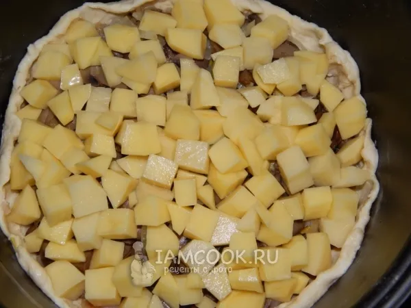 Шаг 10: иллюстрация