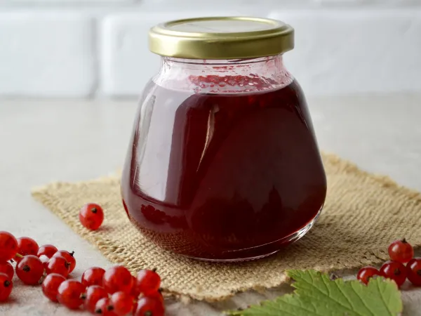 Фото блюда: Кисло-сладкий соус из красной смородины