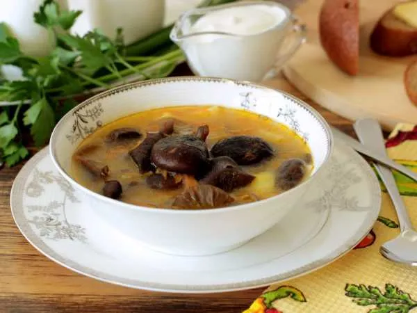 Фото блюда: Грибной суп из замороженных опят
