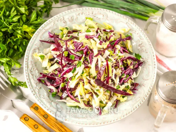 Фото блюда: Салат из красной и белокочанной капусты