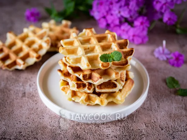 Фото готового блюда: Творожные вафли в мультипекаре