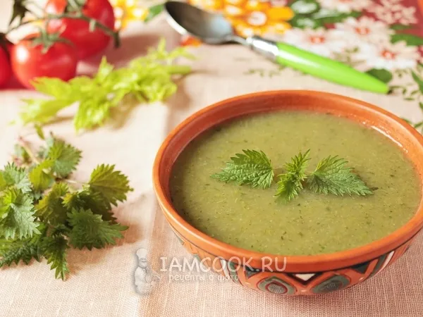Фото блюда: Суп-пюре из черешкового сельдерея с крапивой