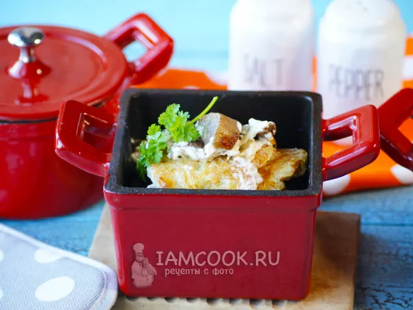 Фото блюда: Драники в горшочке с грибами