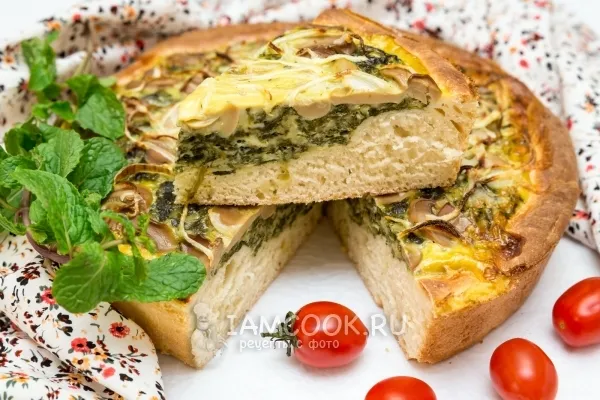 Шаг 10: иллюстрация