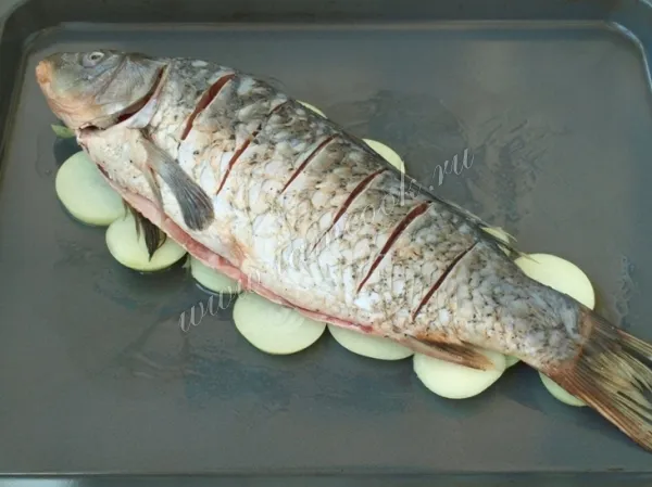 Шаг 4: иллюстрация