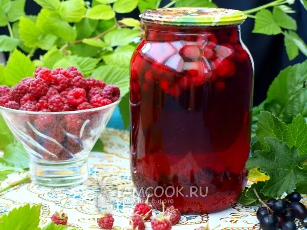 Фото готового блюда: Компот из малины и смородины