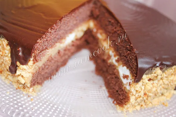 Шаг 17: иллюстрация