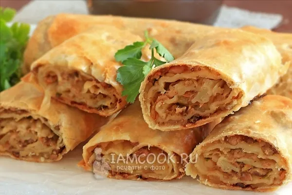 Шаг 18: иллюстрация