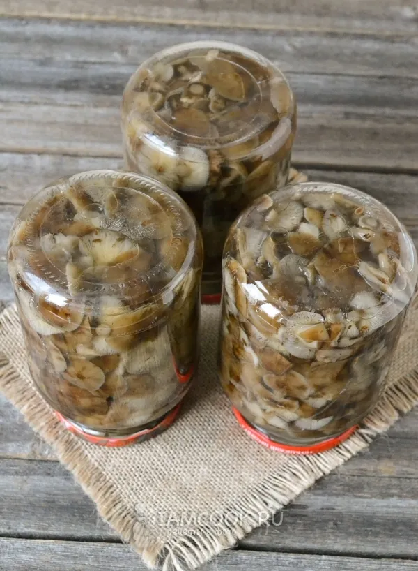 Шаг 8: иллюстрация