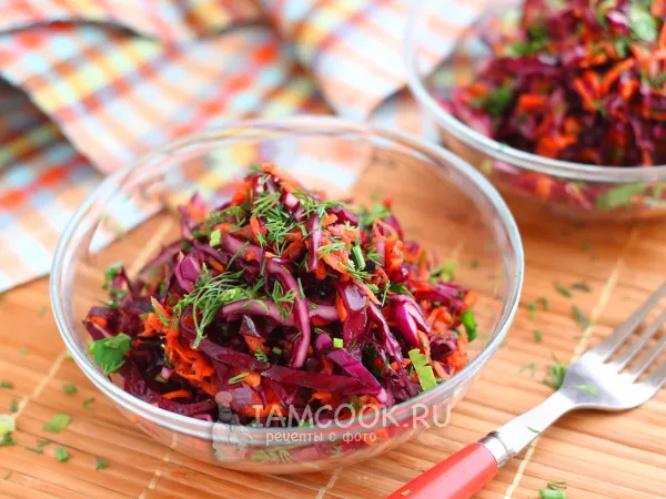 Фото блюда: Салат из краснокочанной капусты с морковью